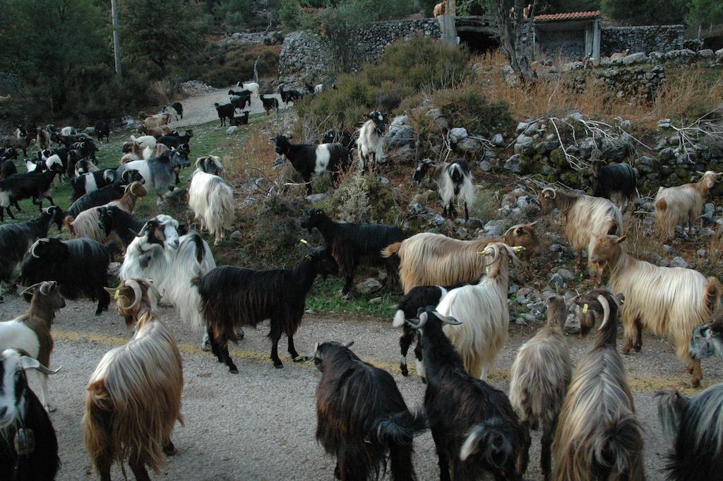 Σπίτι διακοπών Christos Place-anidri *